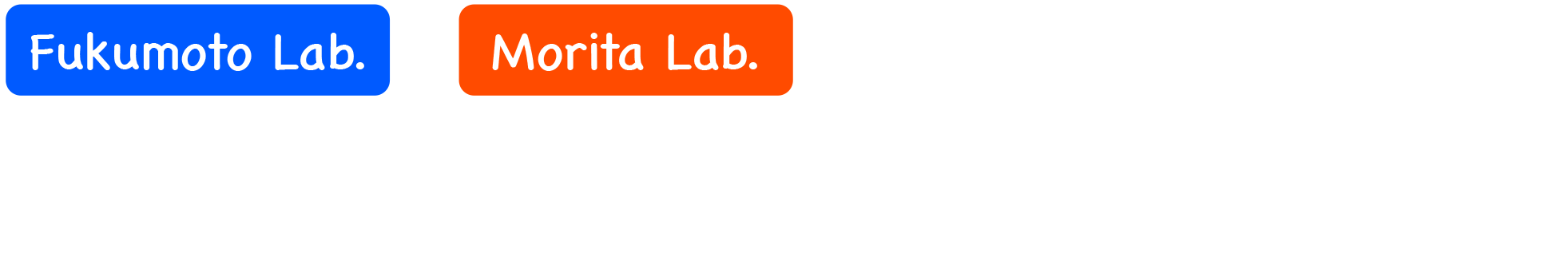 有機機能性材料化学グループ